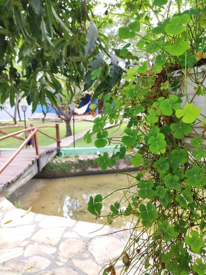 Cores do Cerrado - chalés e suítes Goiás Exterior foto